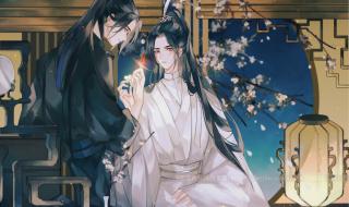 二哈和他的白猫师尊剧情介绍